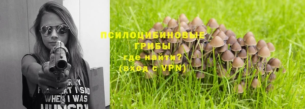 дурь Лабытнанги