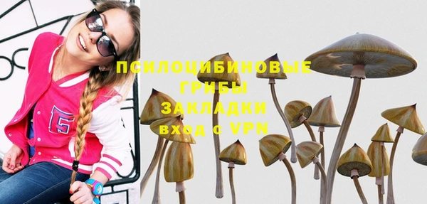 соль ск Лихославль