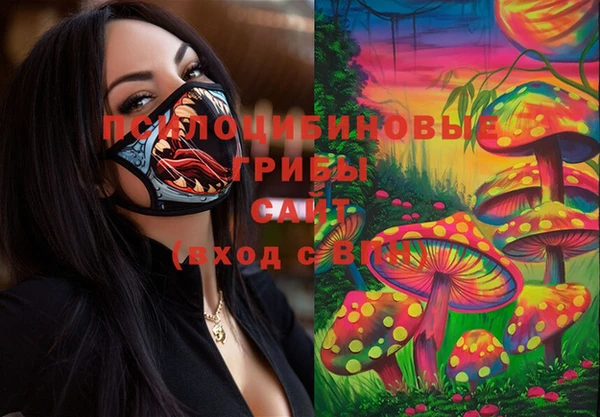 таблы Ладушкин